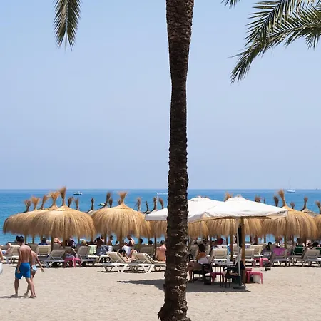 Beachside Oasis 951 *