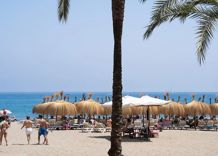 Beachside Oasis 951 *