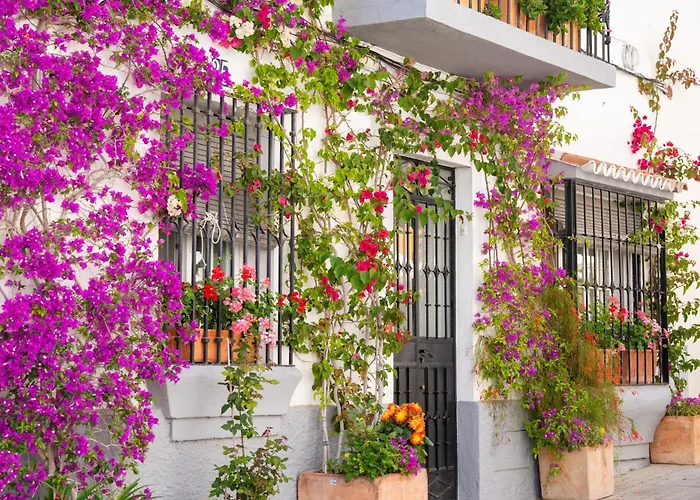 Beachside Oasis 951 Marbella