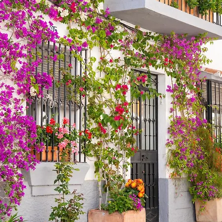 Beachside Oasis 951 Μαρμπέλλα